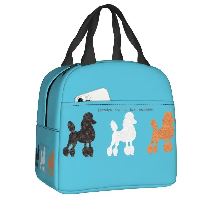 Women'S Best Bags For Work - Sac à déjeuner isolé caniche Standard